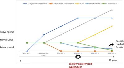 Latent Adrenal Insufficiency: From Concept to Diagnosis